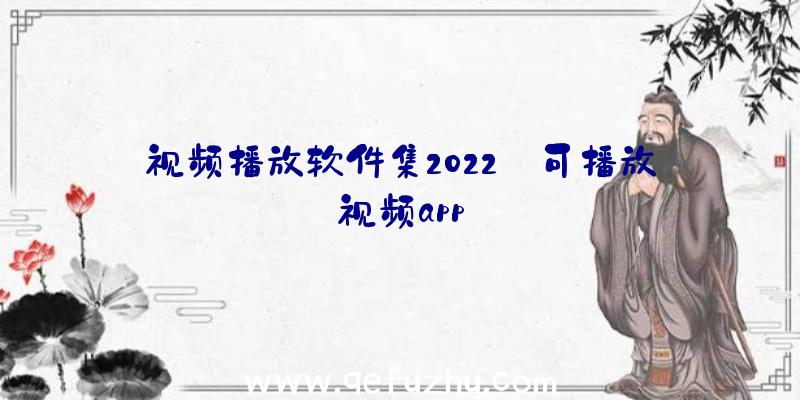 视频播放软件集2022